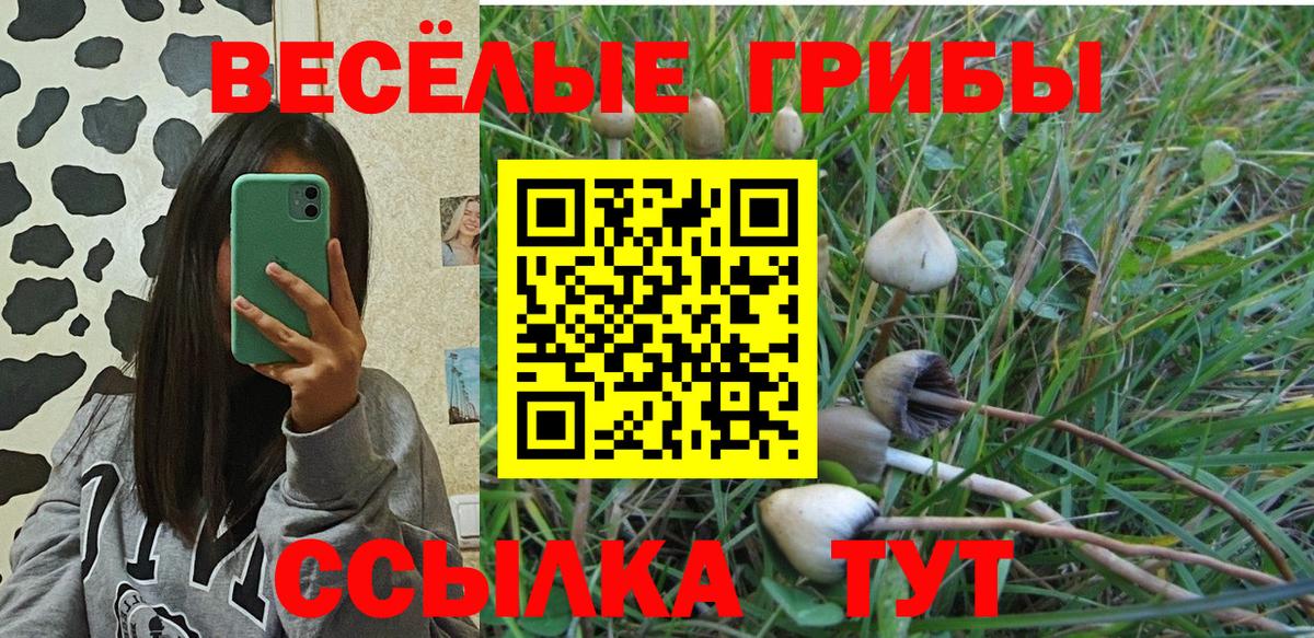 Кокаин  Вход с VPN  Семилуки  Купить закладку  Меф МЯУ МЯУ   ГАШИШ  Гашиш  Экстази  Меф  Конопля  АМФ  