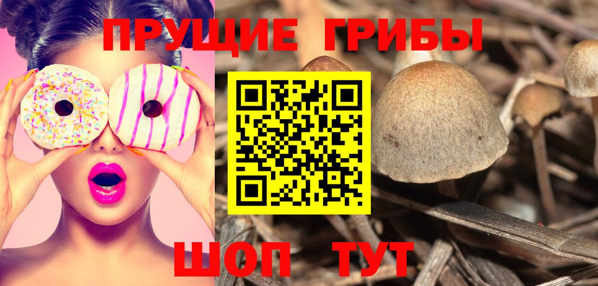 Галлюциногенные грибы мухоморы Семилуки