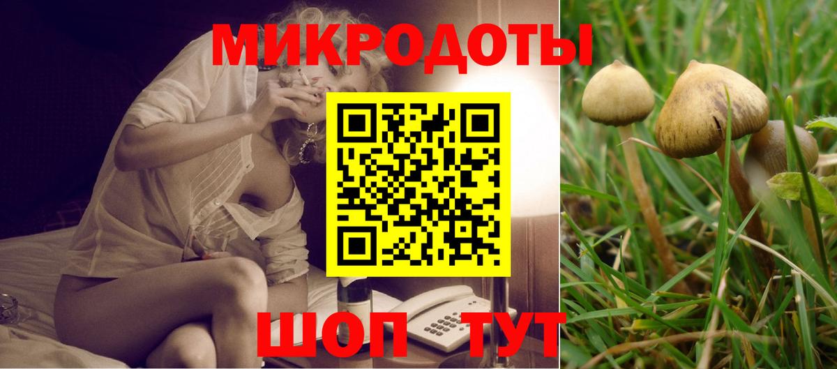 Семилуки  Галлюциногенные грибы MAGIC MUSHROOMS  Вход с VPN 